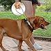 JJUNW 2 Stück Hausleine für Hunde, Hundeleine Chew Proof, Bissfeste Hundeleine Verlängerungsseil, Hundekette für Welpen Kleine Mittelgroße Große Hunde Joggen und Spazierengehen (67cm, Schwarz)