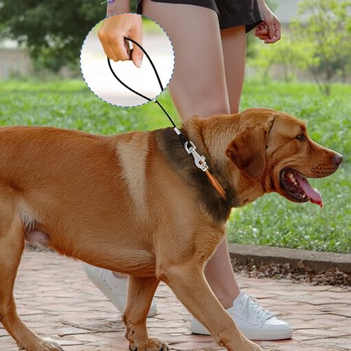 JJUNW 2 Stück Hausleine für Hunde, Hundeleine Chew Proof, Bissfeste Hundeleine Verlängerungsseil, Hundekette für Welpen Kleine Mittelgroße Große Hunde Joggen und Spazierengehen (67cm, Schwarz)