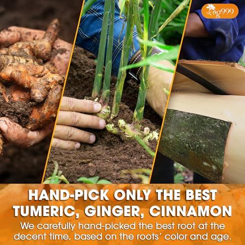Image of TOG999, Premium 6oz Ginger Turmeric Cinnamon Loose Leaf Herbal Tea - Premium Quality Spiced Herbal Blend - Caffeine-Free, Non-GMO, Natural Dried Roots and Bark. Vegan-Friendly.