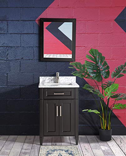Vanity Art 24 Inch Single Sink Bathroom Vanity Set Carrara Marble Stone Top Dove-Tailed Drawer Soft Closing Doors Undermount Rectangle Sink Cabinet With Free Mirror Va2024-E #TOP7