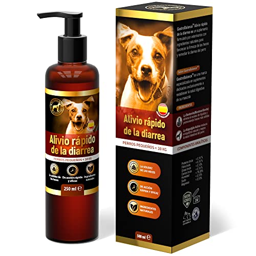 GastroBalance Alivio Perros diarrea acción rápida - Tratamiento diarrea Perros pequeños  10 kg (ESPAÑOL)