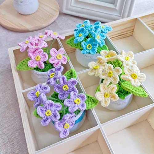 Mini Crochet Plantes en Pot - Idée Cadeau Mignon et Original