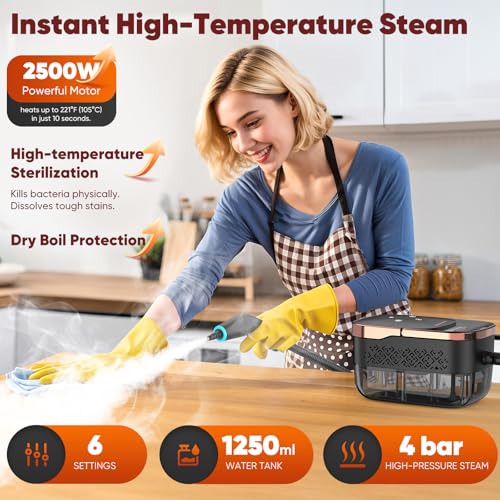 Image of Steam Cleaner, 2500W Pressurized Heavy Duty Handheld Steamer with 1.32QT Tank & 10 Attachments - for Kitchen, Bathroom, Car, Floors, Tile, Furniture, Couch, Windows (Black /Gold)