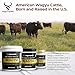 Wagyu Republic Beef Tallow ⎸ Grass Fed Wagyu Beef Tallow, Great for Cooking Steak or as Tallow Balm ⎸ Keto, Gluten Free Protein Snacks for Adults, Perfect for Whole 30 or Carnivore Diet ⎸32oz Jar