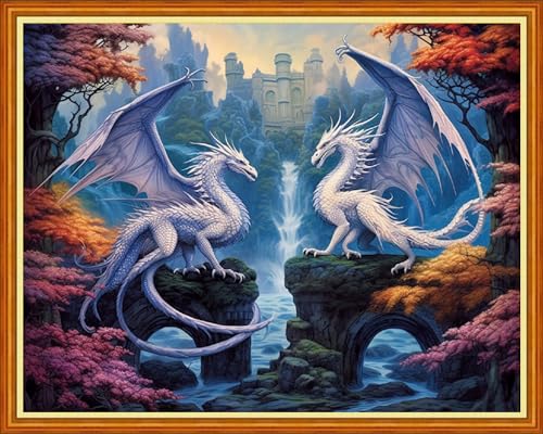 Image of Dooxvey Cross Stitch Kits for Adults Beginners - Full Range of Stamped Kits - 11CT Cross Stitch Patterns - Two Dragon Waterfalls - 16x20 inch