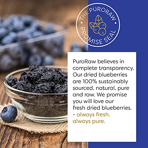 Puroraw HU-XI-201 Dried Blueberries No Sugar Added thumb #1