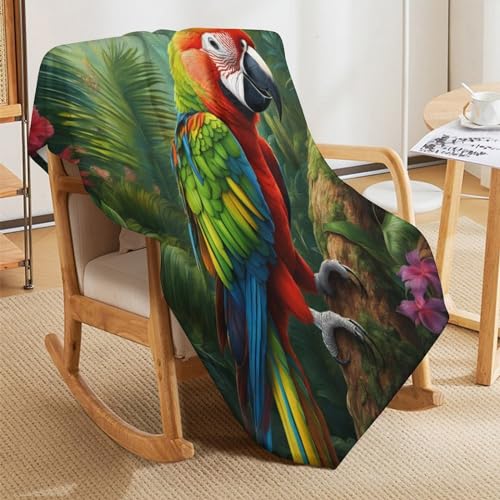 Manta de forro polar para sofá de loros tardes de cine confortables 5