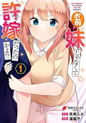 Amazon.co.jp: じつは義妹でした。～最近できた義理の弟の距離感が