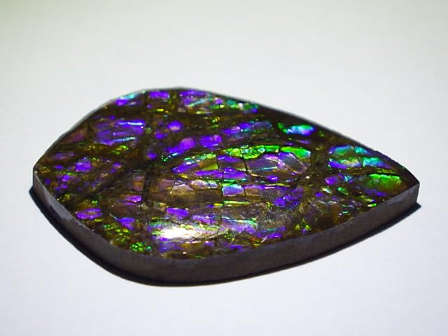 Amazon.co.jp: 蛍光に光る古代の化石アンモライト27.4mm27.6ct