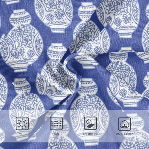 Boys' Exclusive Briefs Toddler Underwear 95% Combed Cotton Boxerbriefs 2T Blue and White Vase Pattern 83