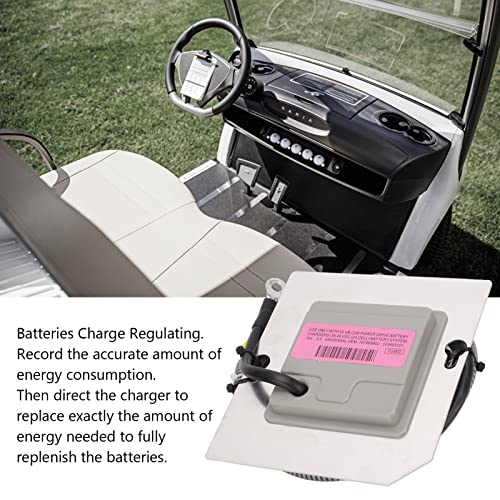 Car On Board Computer Replacement for Regen II DS IQ 10 with 6 Pin Plug/Car Electric 48 Volt, OEM# 101909902, AM1229201, 21155-02 replacement for Lester, - Thumbnail 2