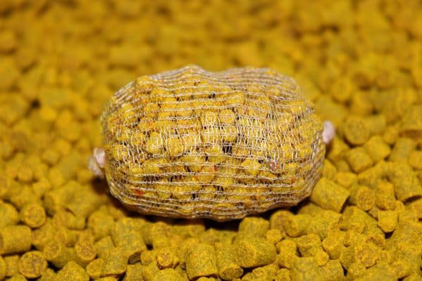 Pro Elite Baits Session Pack Classic | Carp Food | Pack Cebo para Pesca de Peces Grandes | — view 7
