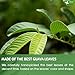 FreshDrinkUS, Premium 50+ Natural Guava Leaves, Whole Dried Leaves, 100% Pure, Natural Guava Loose Leaf Herbal Tea, Non GMO, No Additives, No Caffeine, Vegan