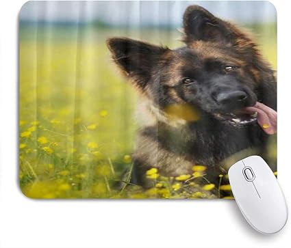 Amazon Kapanou マウスパッド かわいいジャーマンシェパードの子犬の花 おしゃれ 耐久性が良い 滑り止めゴム底 ゲーミングなど適用 マウス 用ノートブックコンピュータマウスマット Kapanou マウスパッド 通販