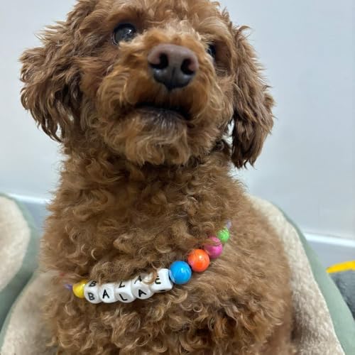 Personalisiertes Hundehalsband mit Perlen, Abnehmbare Namenskette, Niedliche Bunte Perlenhalsbänder für Hunde, Hundehalsband mit Hundemarke, Geschenke für Hunde