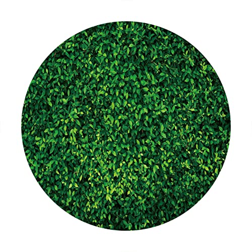 Greenery Green Leaves Round Backdrop Cover Nature Spring Outdoorsy Circle Backdrop Birthday Theme Party Decorations Photography Background 7.2ft (220cm) No Stand Elastic Banner Photo Studio Props by ChloropLastid - Image 6