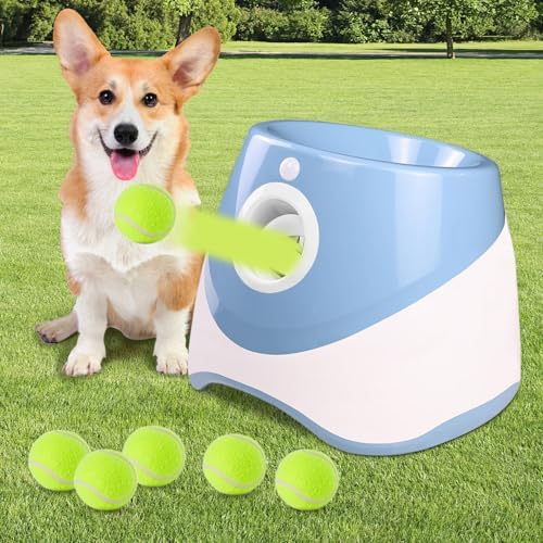 Lanceur automatique de balles pour chien machine interactive petit moyen