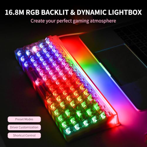 Image of Hexgears MX68 Mechanical Gaming Keyboard with Hall Effect Nuomi Switches | Removable Frame, 0.125ms Delay, 8000Hz Polling Rate, RGB Backlit&Lightbox, 5-Layer Structure, HIFI Sound