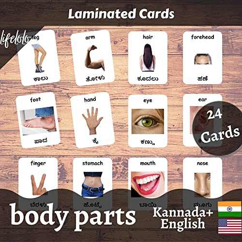 Image of Kannada English Bilingual Flash Cards | Montessori Cards | Laminated Flash Cards | Early Education (Body Parts - 24 Cards)
