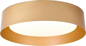 Bargeni 16.5" Gold Flush Mount Ceiling Light, LED Ceiling Fixture | 30W dimmable LED light with 3000K warm glow, ideal for living rooms, bedrooms, hallways and foyers