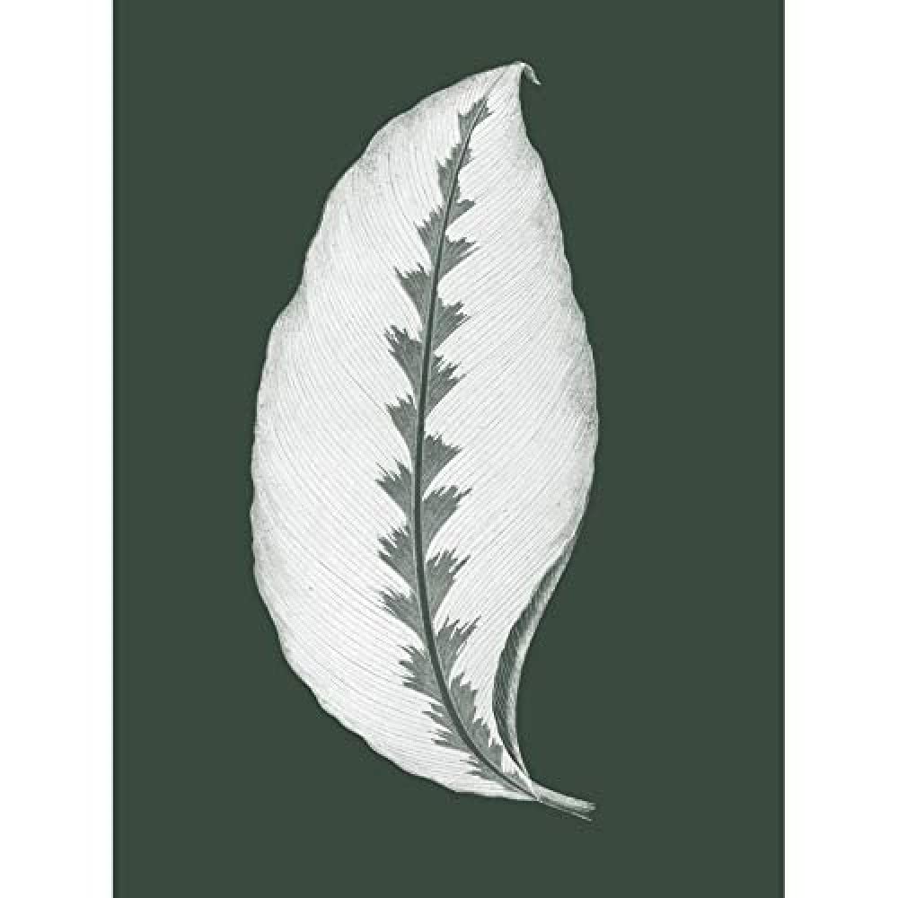 Wee Blue Coo Botanics Hunter Green Jungle Leaf Unframed Art Print Poster Wall Decor 12x16 inch