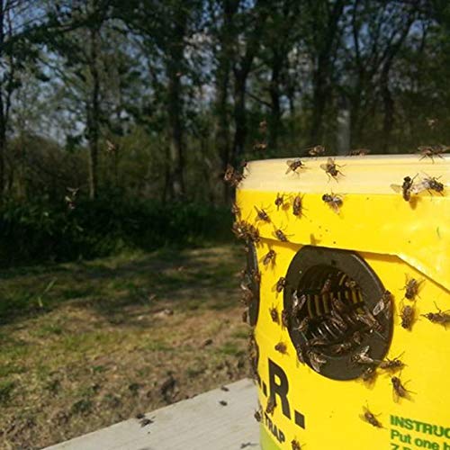 FlyBuster - Trappola Professionale per Mosche, con Imbottitura, Colore: Giallo