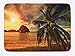 Produktbild Casepillows Ocean Bath Mat, Havana Beach Sunny Tropics Mountains Rocks and Coconut Palm Trees, Plush Bathroom Decor Mat with Non Slip Backing, 23.6 x 15.7 Inches, Orange Pale Brown Dark Green