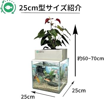 Amazon | せせらぎビオトープ 水替え不要【水槽セット】 25cm型 【基本