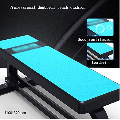 CUUYQ Weight Bench, Workout Benches Multi Purpose Exercise Utility Bench/Fitness Benches for Strength Training Core Workout Training,Blue