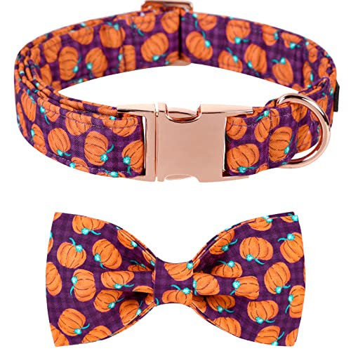 Lionet Paws Dog Collar with Bowtie, Halloween Bowtie for Dogs, Adjustable Comfortable Dog Collar Girl Boy, M, Neck 34-55cm
