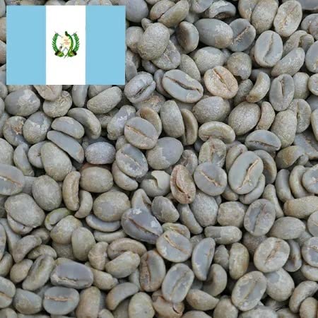 R[q[ 1kg@O@e} AeBOA Tt@G EAX i` QO[h R@OAe} Ke}