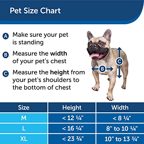 PetSafe Extreme Weather Dog and Cat Door - Aluminum Frame Pet Door - Medium - Image 3