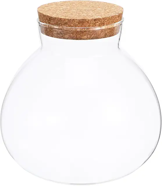 Round Glass Jar Terrarium Container for Succulents, Air Plants & DIY Decor