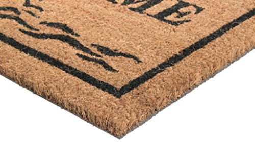 Imports Décor Vinyl Backed Coir Doormat, Guiding Light, 18 By 30-Inch,Black And Beige #TOP3