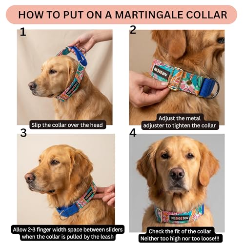 Image of Dog-O-Bow Tropicana Print Martingale Dog Collar, Durable, Comfortable & Adjustable Training Collar (L)
