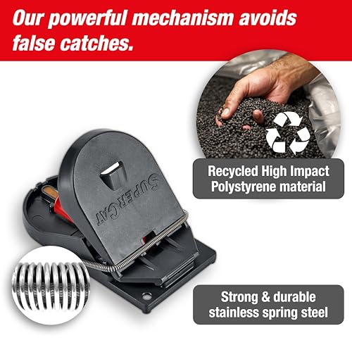 SWISSINNO Trappola per Topi PRO SuperCat. Efficiente, umana e riutilizzabile con esche. Cattura e Uccide all'istante. Sicura, No colpi a vuoto. Prodotta in UE: 2 trappole SWISSINNO Trappola per Topi PRO SuperCat. Efficiente, umana e riutilizzabile con esche. Cattura e Uccide all'istante. Sicura, No colpi a vuoto. Prodotta in UE: 2 trappole