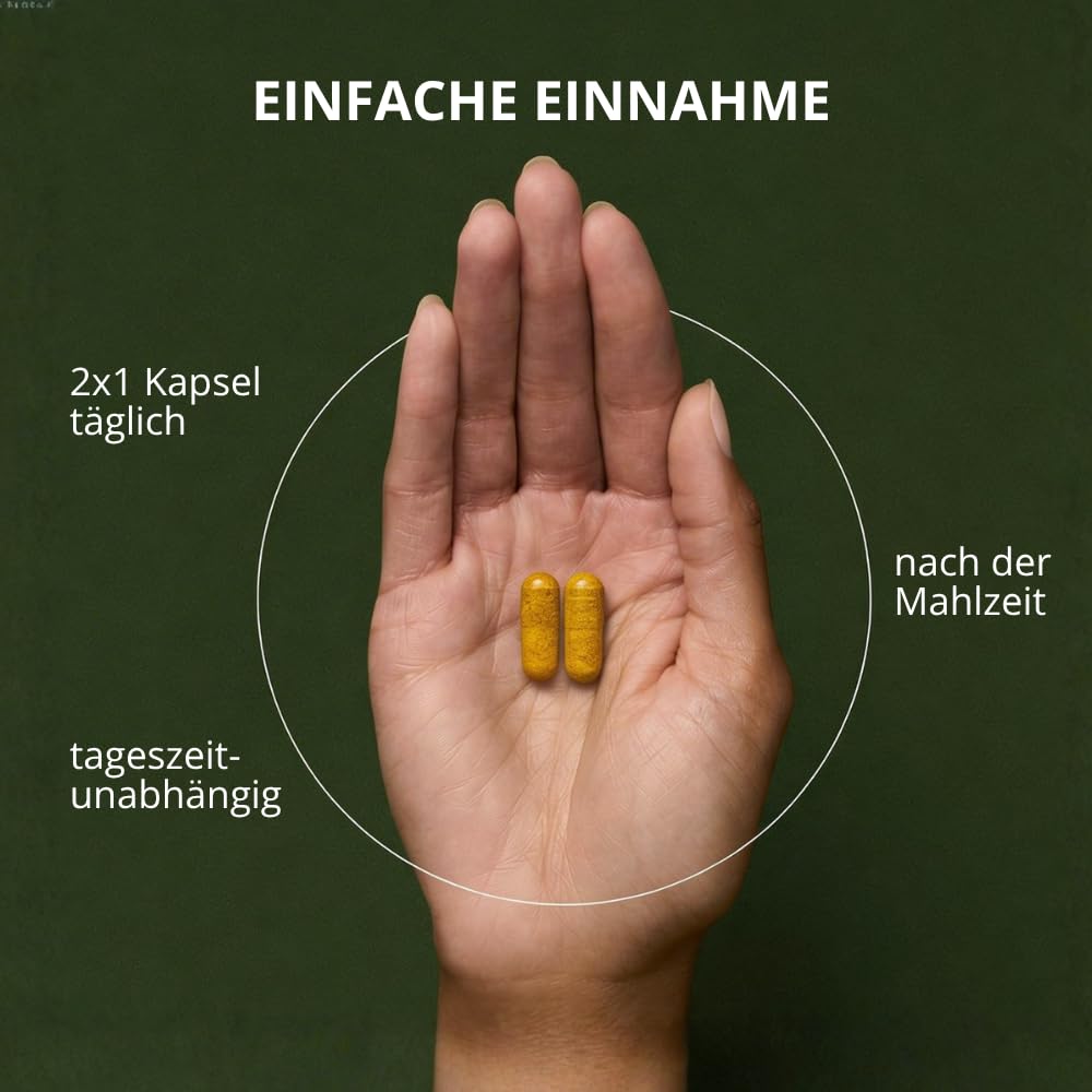 Leber Plus hochdosiert - 80% Silymarin, Mariendistel Kapseln mit Artischocke, Löwenzahn, Curcuma & Cholin - 120 Kapseln - Vegan - Milk thistle - Made in Germany