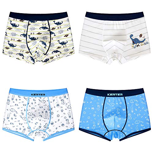 Calzoncillos infantiles D C.Supernice con estampado de dinosaurios y caballitos de mar, 2 paquetes o 4 paquetes de ropa interior boxer Hipster 4 piezas A+B 110 cm(3-4 años)