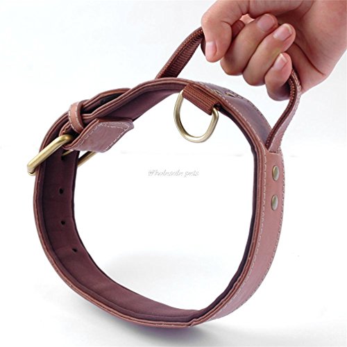Quick Control Soft Inside Padded Pu Leather Dog Collar with Handle for Meduim Large Dogs Walking Training Black Brown Colors