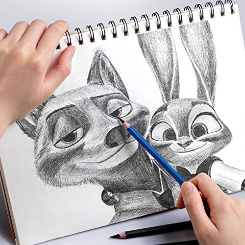 Sketch Pencils Set with Sketchbook, Tickas 35 Piece Professional Drawing Pencils with Sketch Book Kit for Kids, Teens And Adults, Artist Kit Includes Pencils, Erasers, Pastels, Travel-Friendly Case