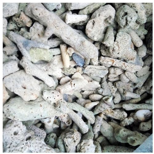 Yardwe Filtration Coral Sand 2-6cm Fish Tank Xs for Ornamental Fish Shrimp Habitats