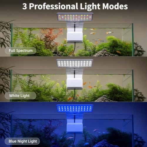 Image of Mini Clip On Fish Tank Light 7W Small Aquarium Light for 1 to 5 Gallon Nano Tanks USB Moving Lamp with White Red Blue Green LED (Adapter NOT Included)