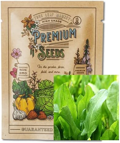 Large Leaf Sorrel Herb Seeds for Planting - 1 Gram 500+ Seeds - Non-GMO, Heirloom - Culinary Sorrel Herb Plant Seeds - Home Garden Herb Seeds - Sealed in a Beautiful Mylar Package
