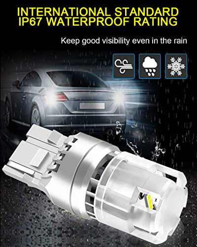 Wenle 7440 T20 Led Bulb Reverse Light Super Bright 6500K White Led Bulbs Car Led Replacement For Backup Tail Brake Turn Signal Blinker Lights, Pack Of 2 #TOP4