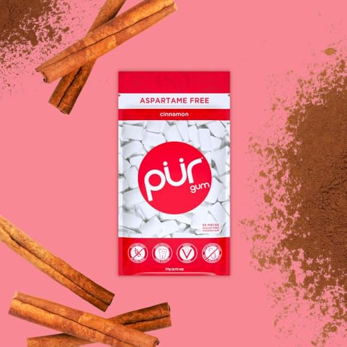 Image of PUR Gum | Aspartame Free Chewing Gum | 100% Xylitol | Natural Cinnamon Flavored Gum, 55 Pieces (Pack of 6)