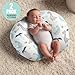 BROLEX Baby Nursing Pillow Covers: 2-Pack Soft Slipcovers for Breastfeeding Pillows - Comfortable Fabric, Fits Standard Nursing Pillows for Boys & Girls - Dinosaur Lion