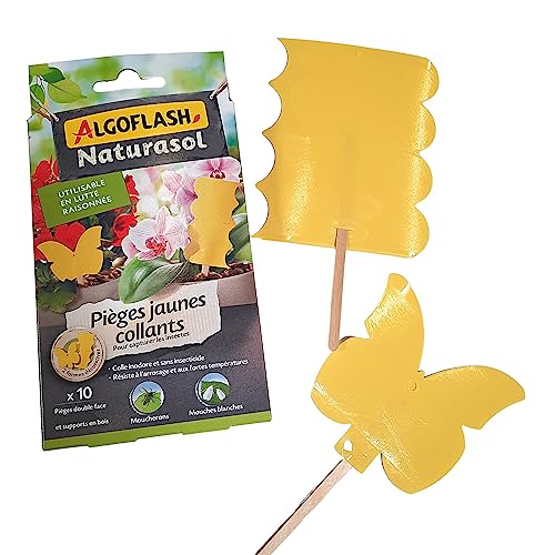 Pièges Jaunes Collants Sans Insecticide ALGOFLASH - Élimine les Insectes - 3