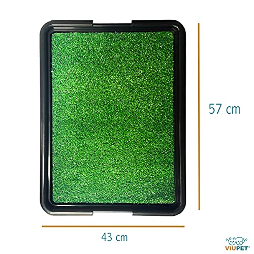 Brinqpet Sanitário Canino Banheiro Para Cães Com Grama Eco Pet, Dispensa Tapetes Descartáveis, Perfe