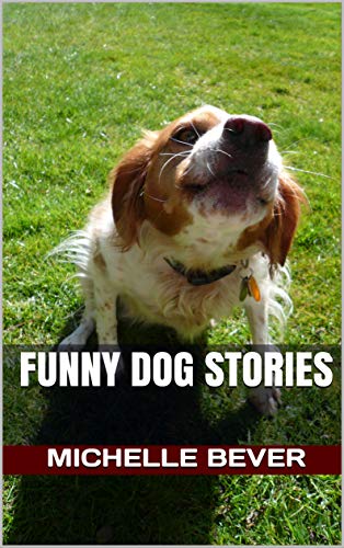 funny dog stories