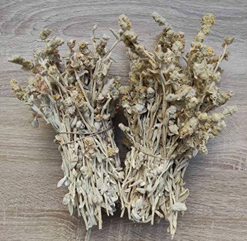 Té Salvaje Griego De Montaña Malotira Sideritis Syriaca 220g - 5KG Cosecha Junio 2022 (5 KG) - Imagen 7